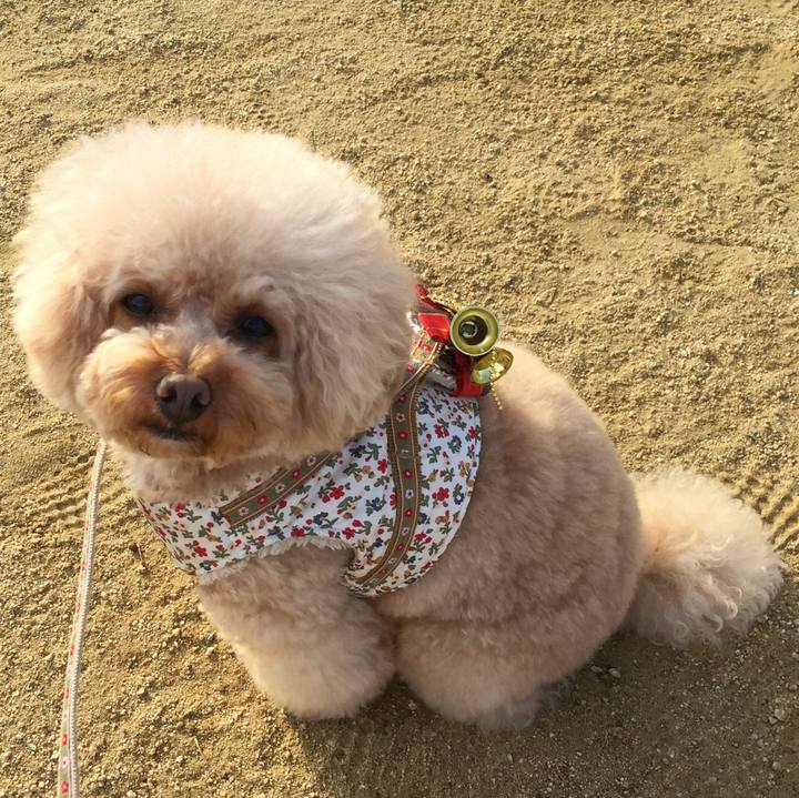 0b421207 1293 4355 8fae 074ce85a9503