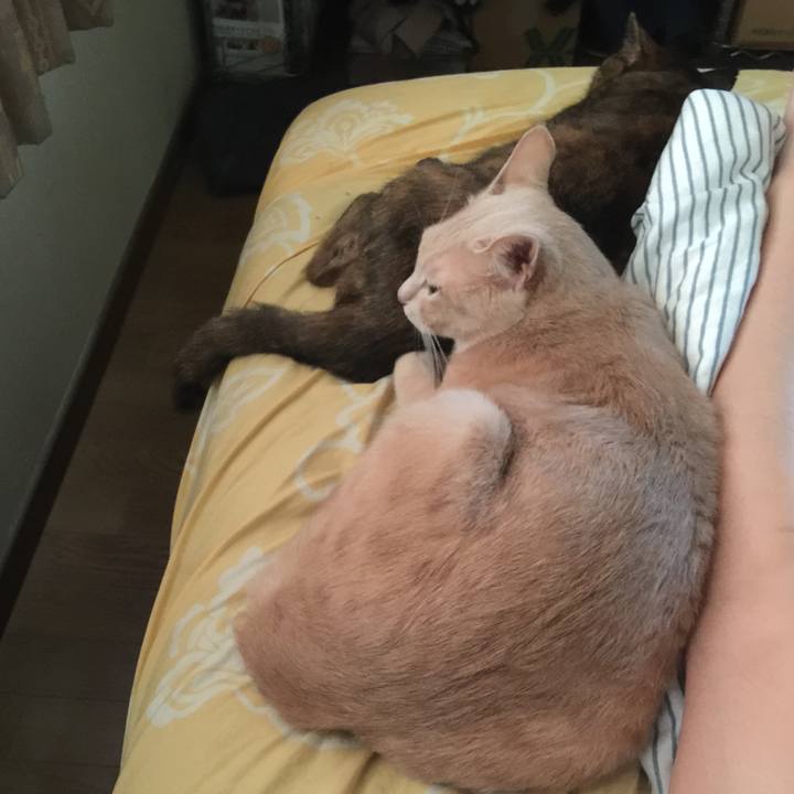 0b424acc 1a65 4889 b72b 900a4691f360