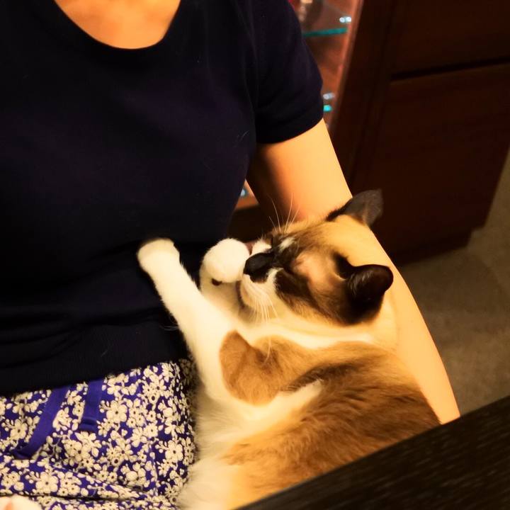 0b426c91 6ce0 4350 b1c1 bbe5c87bf905