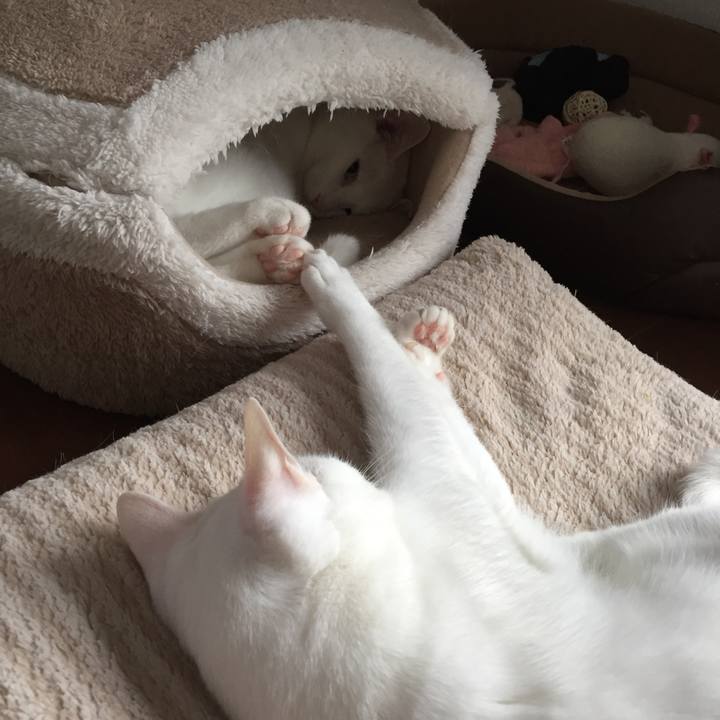 0b426e14 b06c 41ca b437 33e2b60653d9