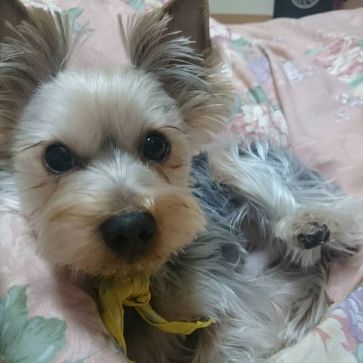 0b42e15d 6543 401f a8f0 0f556a00ca3d