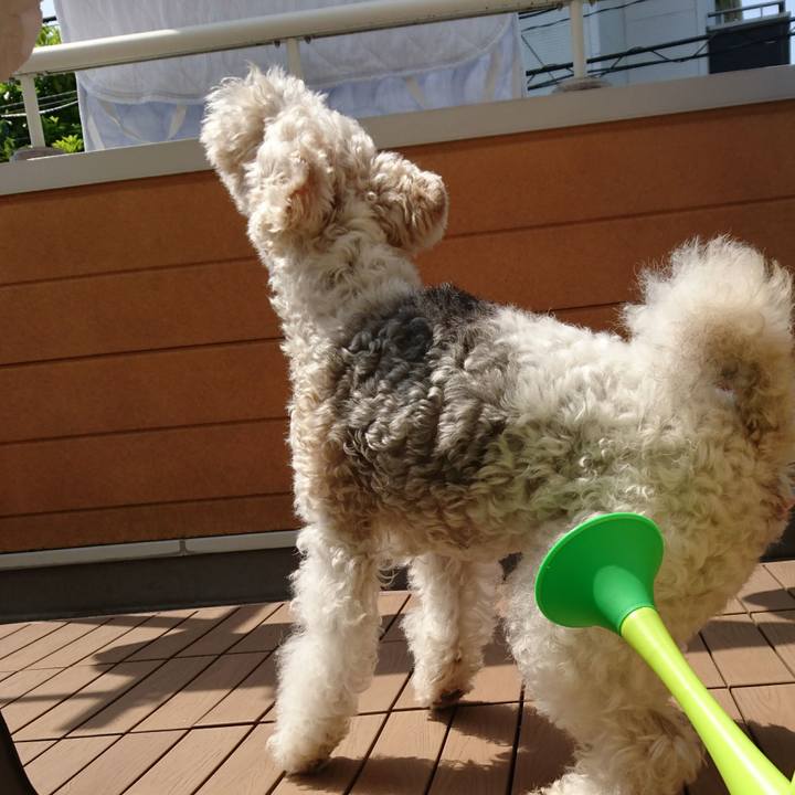 0b433736 c985 41bd bcb0 df7cf7929336