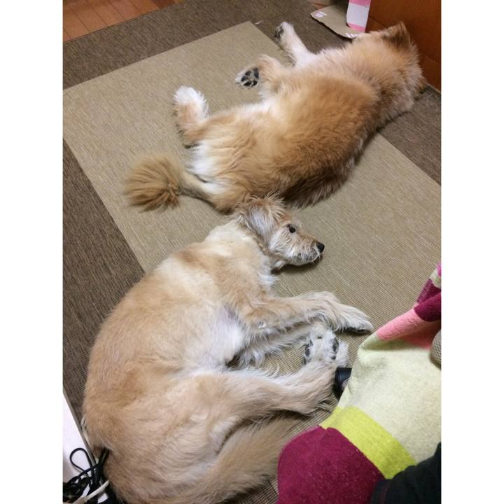 0b4338aa b4fe 43df b452 9dce6839e40a