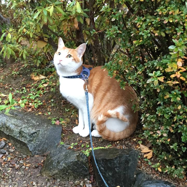 0b43f22f e7d4 4125 bee4 f61e5211c14f