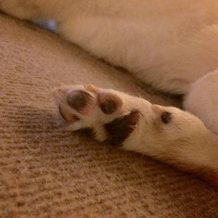 0b44359f 6515 4ade 9bbf 963ff290085f