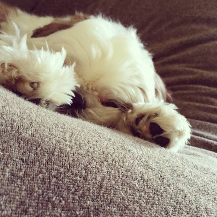 0b44e0c2 3fef 4c62 b8e9 256dbf27ae37