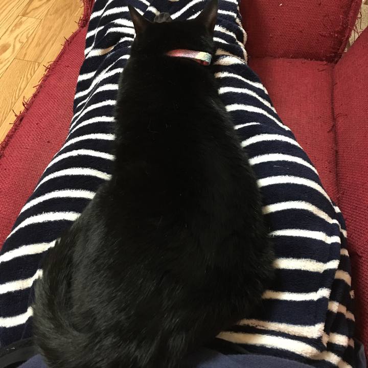 0b44f63a 3498 4471 bd73 fa67dad9c63b