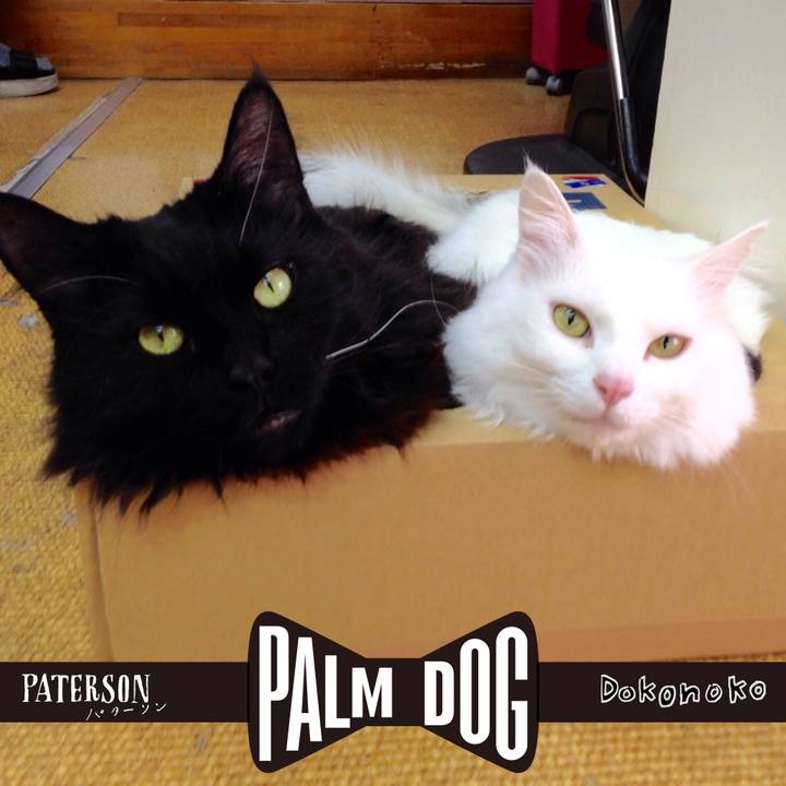 0b460378 99ae 43bb 975d 727196fd969c