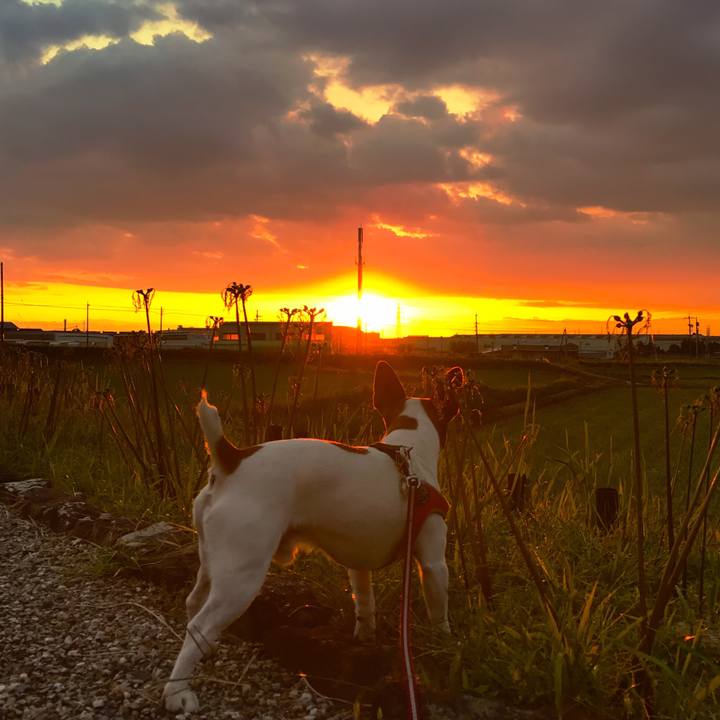 0b4628f6 6c9d 40d0 80a6 04d29d694e5e