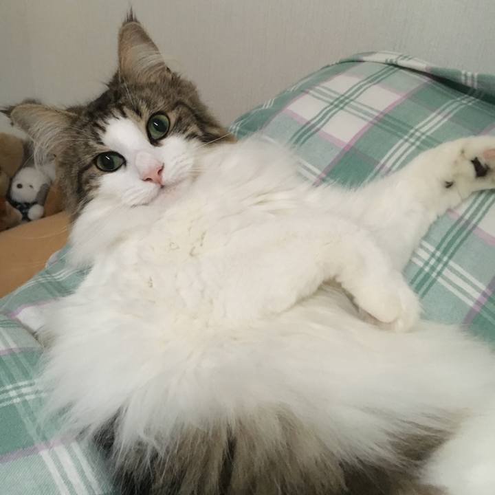 0b466478 03b3 4848 ab61 03a16c5e21bf