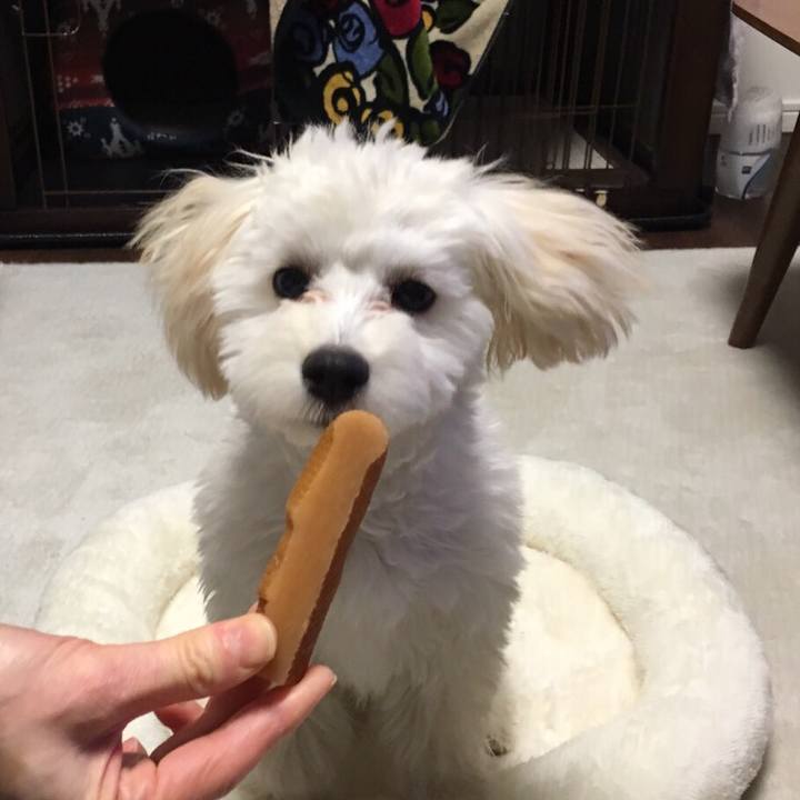 0b46efbf acfe 4b47 b73a 98d0573bd9cb