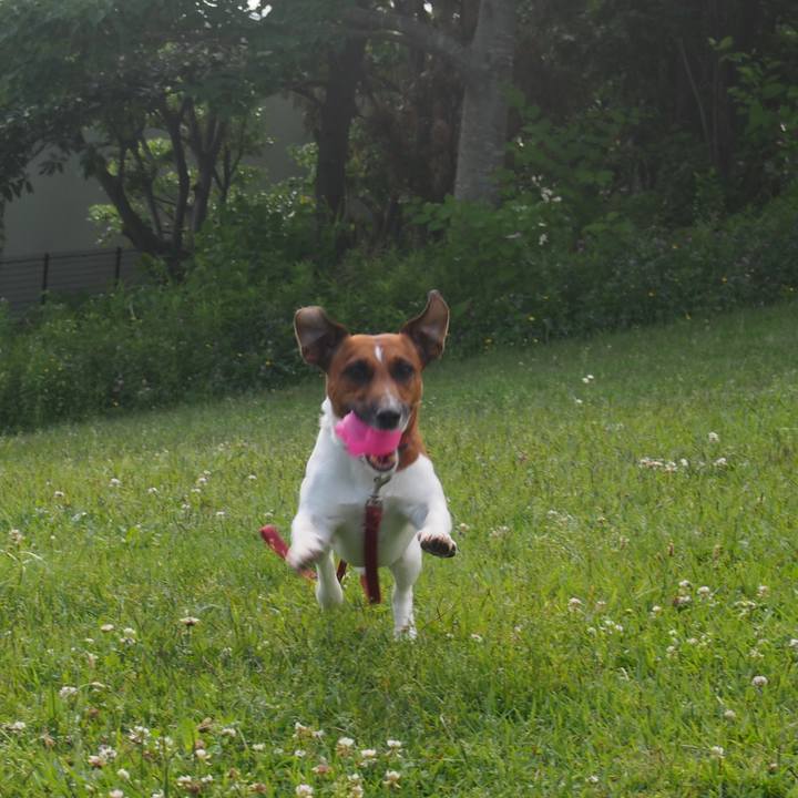 0b47fc97 282f 4637 b4b4 3eaccd9d7483