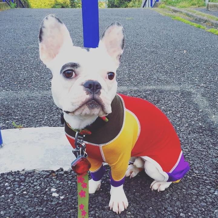 0b491462 e5b6 4109 81e1 624e8353302a