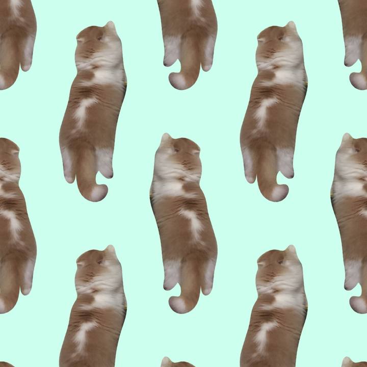 0b4936e1 95e8 4022 90c6 6be9e3c5519a