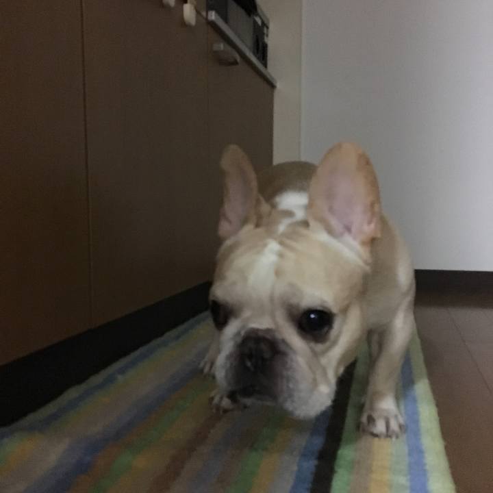 0b49f74d 4543 4672 84e9 7b780b6ef116