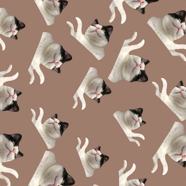 0b4ac2e4 d28b 4f44 acda 01f907c7ab2e