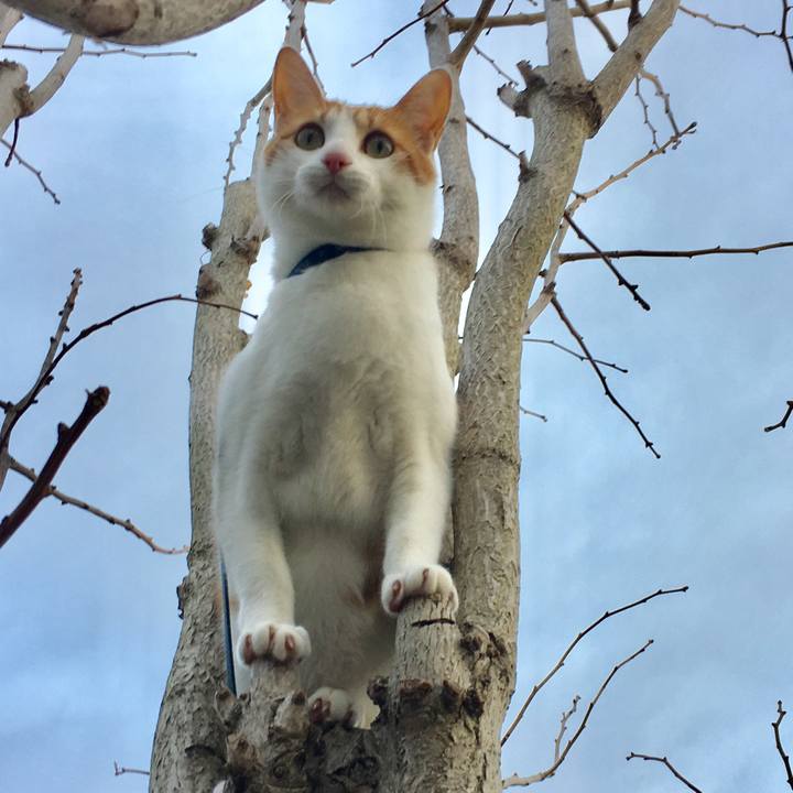 0b4b3db8 2831 4029 8b07 0c00e6d719d5