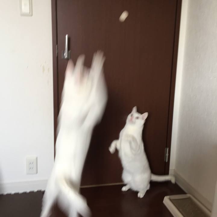 0b4b55cb 3aca 4e15 8b99 0ff11b30ba15