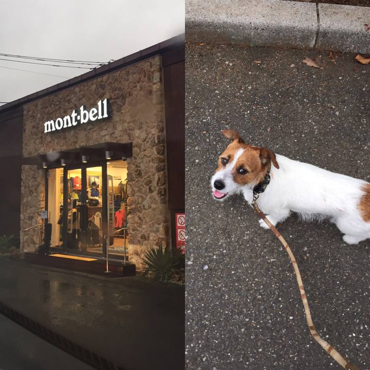 0b4c64b0 5196 4beb 8715 8946d60b5713