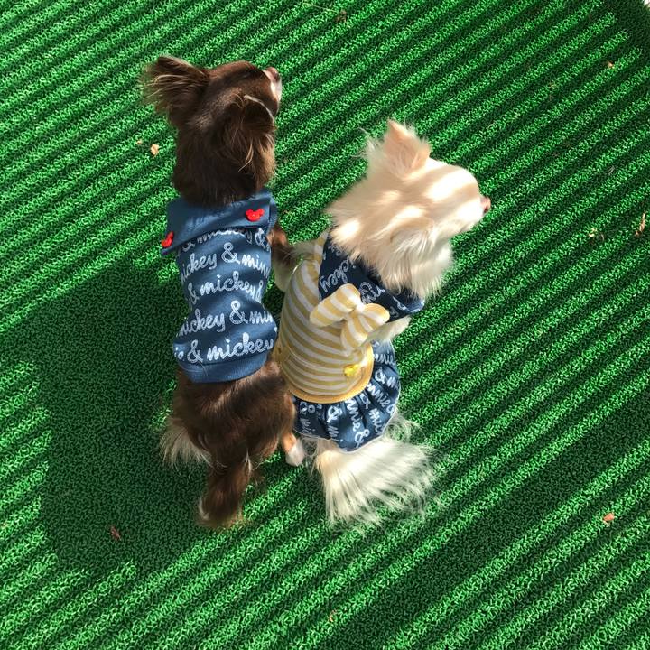 0b4cecd9 e205 401c b348 9b2e5643b272