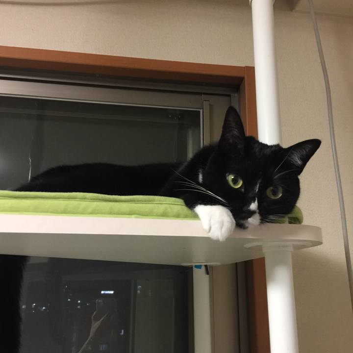 0b4d992f c4dc 41e5 a9e9 472b50373de2