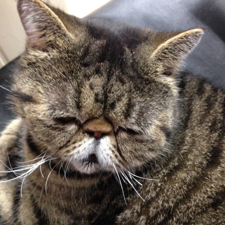 0b4d9c9d 23f4 466e 9991 0d1a920a51f0