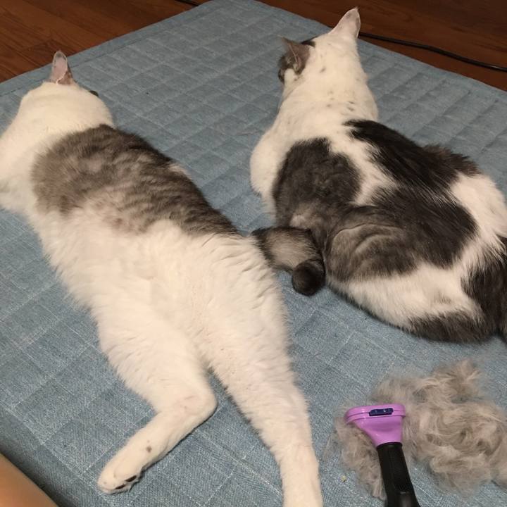 0b4db8b1 ccca 4873 9d88 4b24e9005601