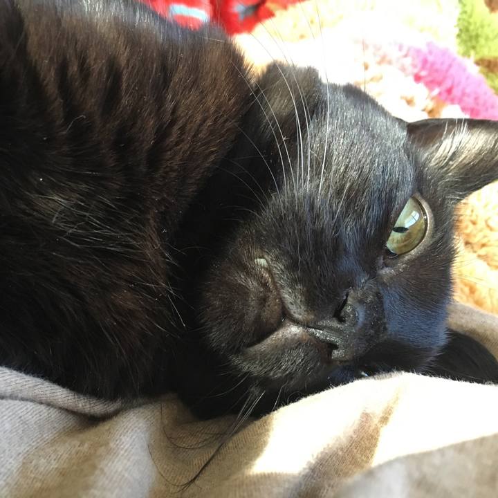 0b4ee52e 2606 49b0 b9a0 9d3f7856b42b