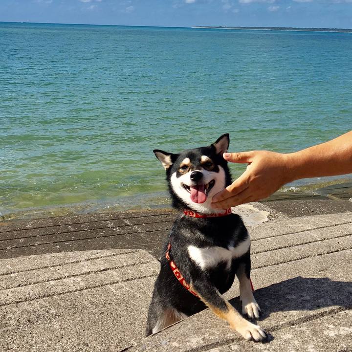 0b4f4dae 7268 4fd6 acee 114b90cf44c8