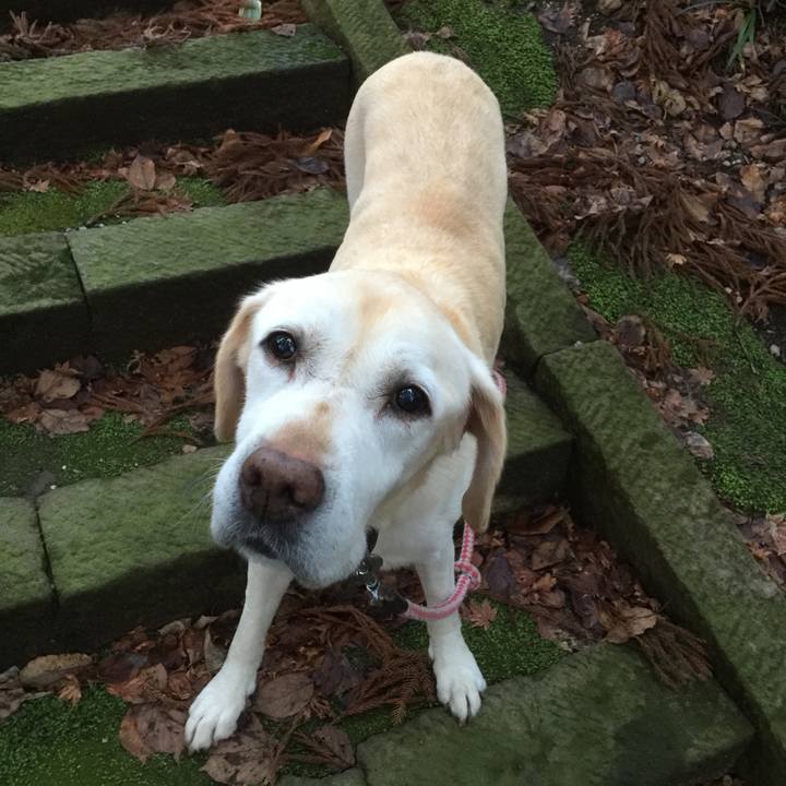 0b4faffb 638c 4bb9 a8d2 c55951947cbc