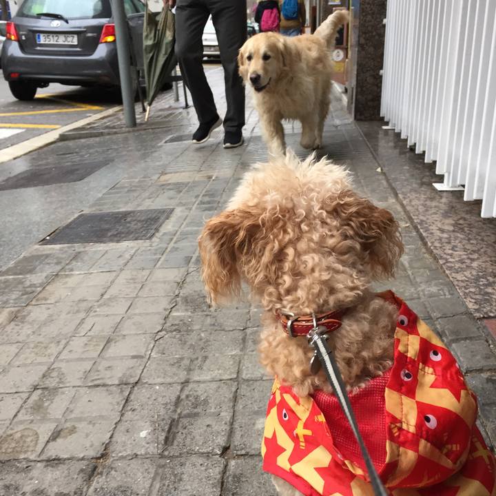 0b50035a ff18 48f6 8d71 b053528fc88f