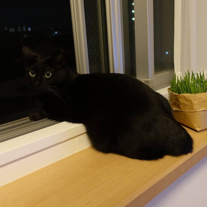 0b507896 3cd1 4059 bc3f 95778f8d3638