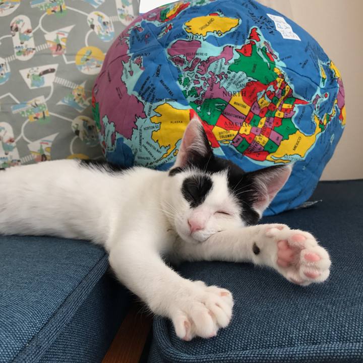 0b519523 f9b1 4991 a6d4 28512859c84f