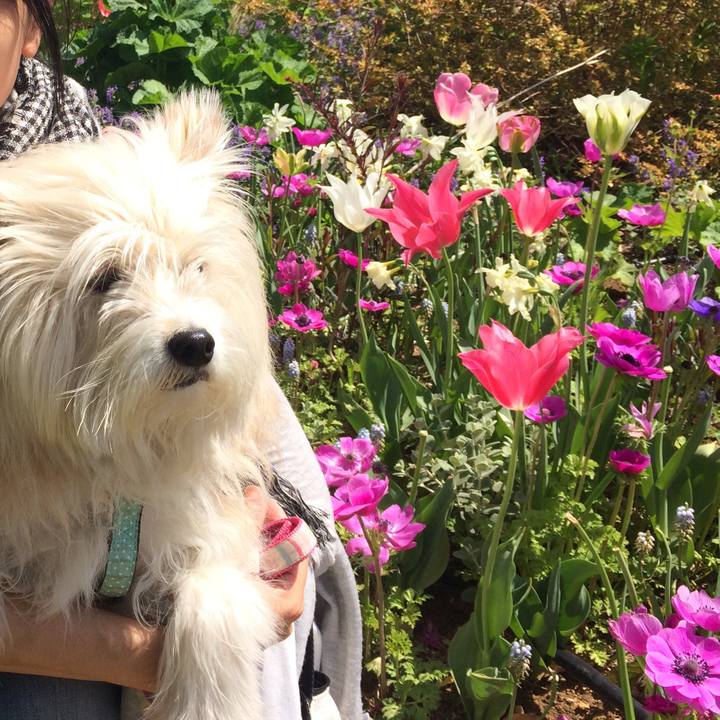 0b527f2a 1052 4cd2 a890 4e1bb36f7e46