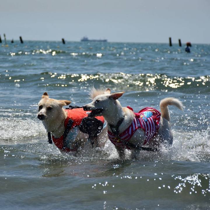 0b52dbcc 56a9 41d2 9035 19ac98910a5b