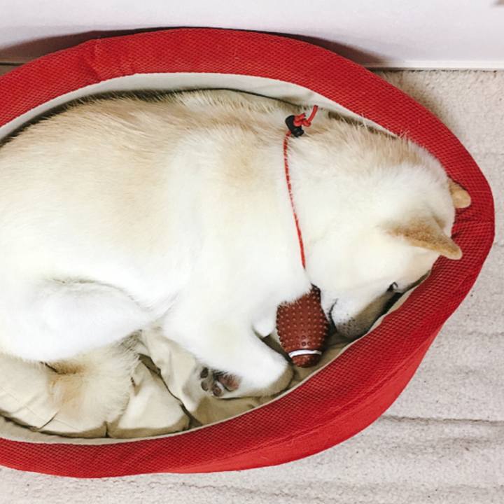 0b5375b4 7ad0 4120 b4bb c3d12ca08604