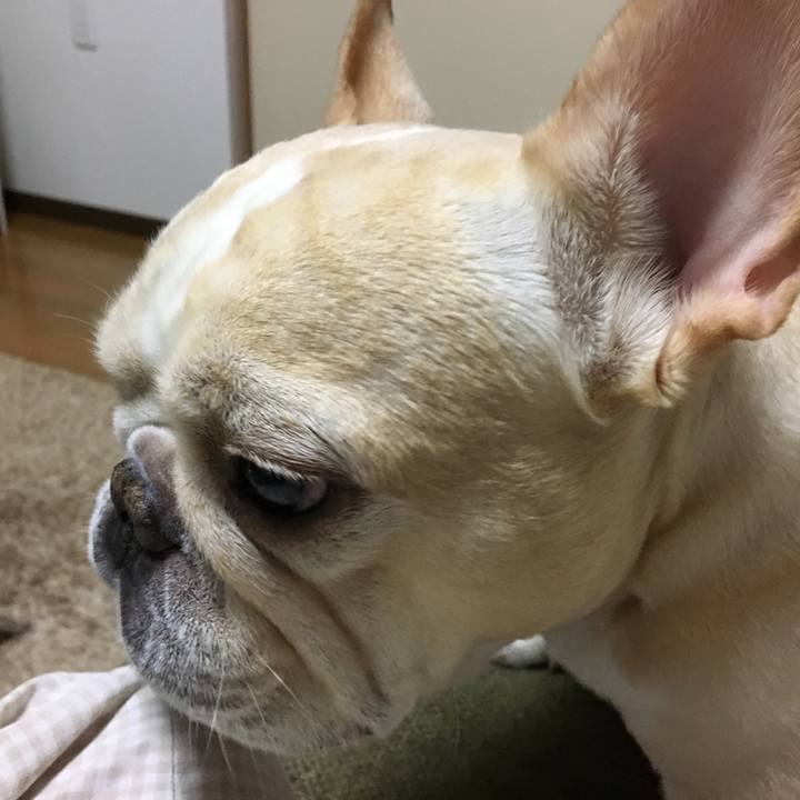 0b53b7c4 f305 4ccb b883 2c4cd5b09cb4