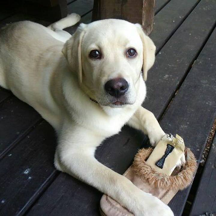 0b53bff1 57fd 4fcc b830 3b0b6daff38c