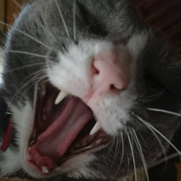 0b541220 2b08 425b 8f54 79af9f990da4