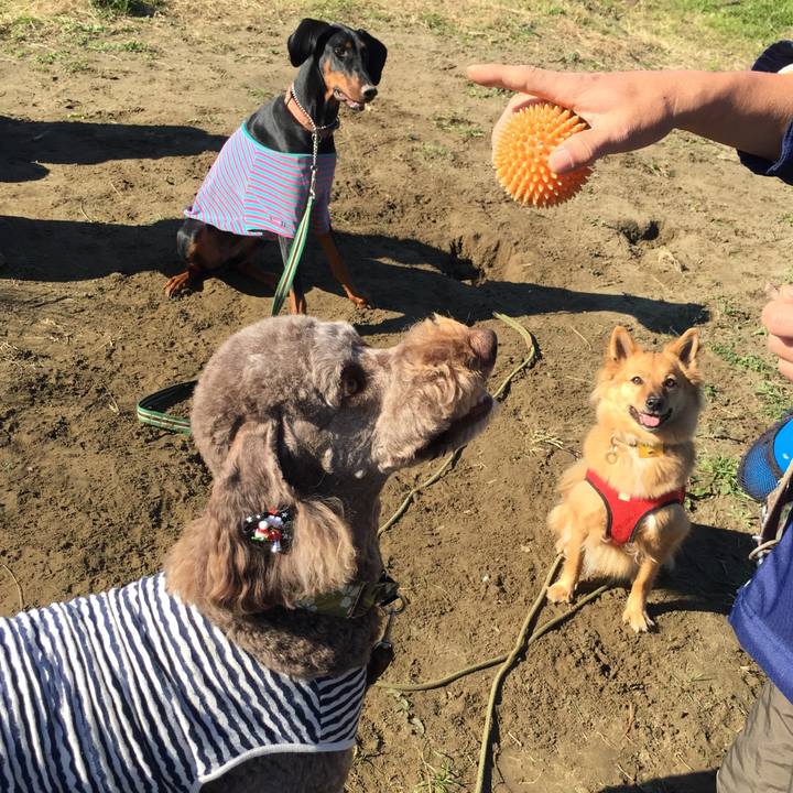 0b54aaa8 9321 406e a634 7372e78fdf76