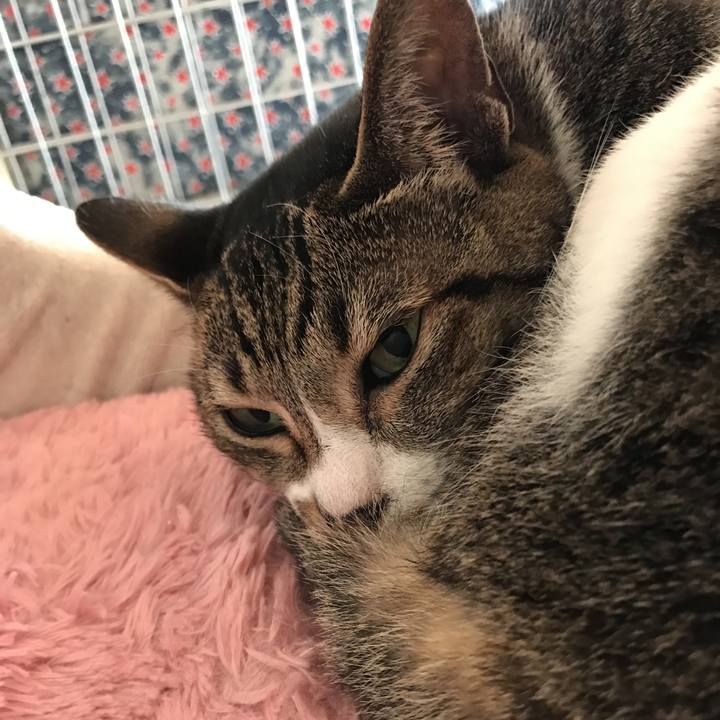 0b54c8d4 81ba 4d1c 9343 bf2d9aa76f18