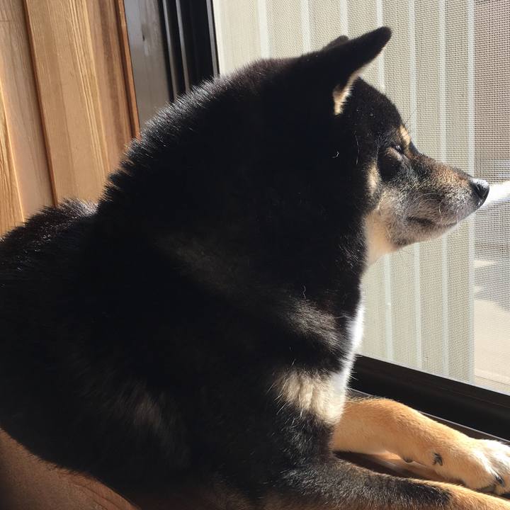 0b54e99f 97f8 41ce ad6a c0d0212a72fd