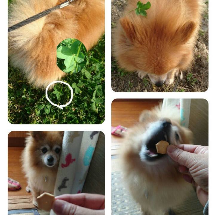 0b550f25 9472 4b3e 9c67 b0a8ad637d4e