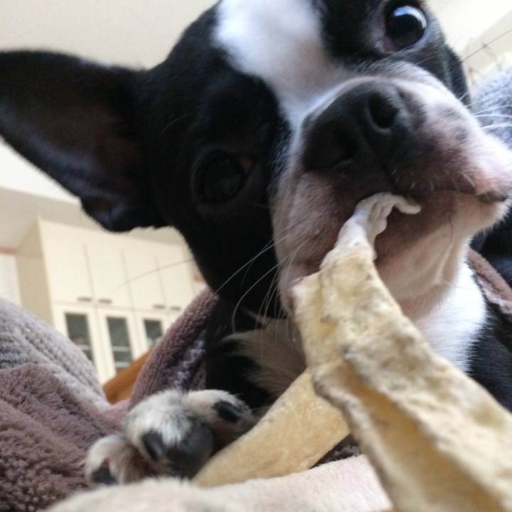 0b5516e8 429f 42d6 9dcd 8822006d28dc