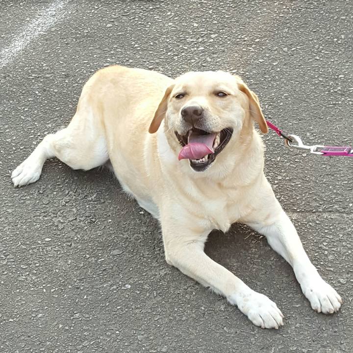 0b559c1e 0ef9 44e2 8f86 94f609b09f5b