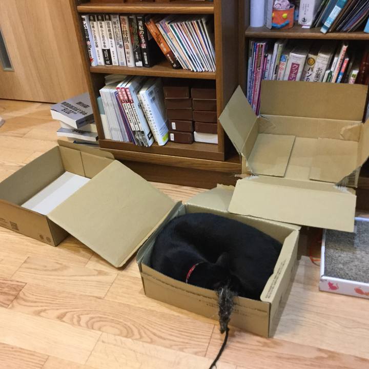 0b568bdf 170c 495c 8a01 980f7b773d90