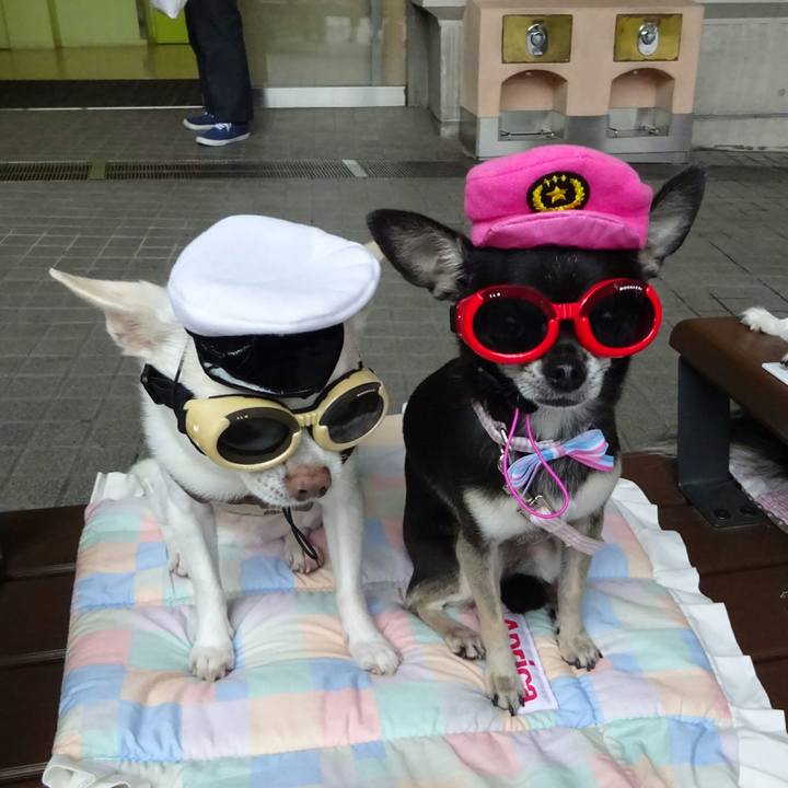 0b56d874 3aaf 4cae 9f0a bbfdcb02e646