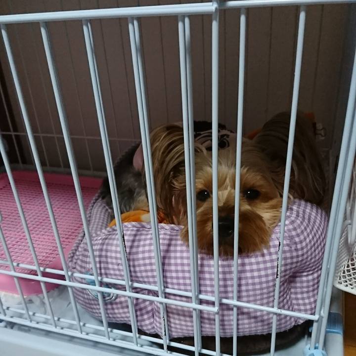 0b5764d9 a3b2 4fff 9acd 245fcf36308f