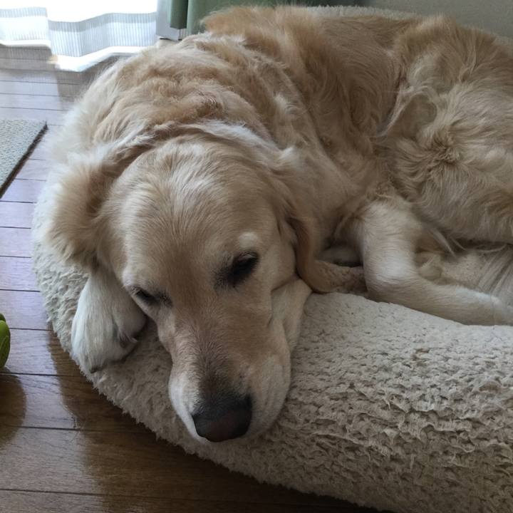 0b57b6a1 784c 477d b9d8 07be334eadc1