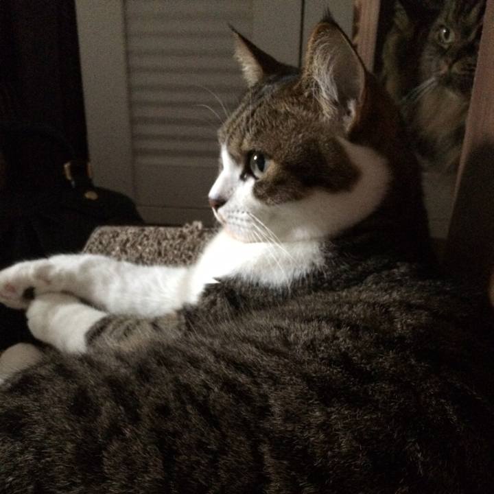 0b587264 31ec 41ea af6e 23a829497715